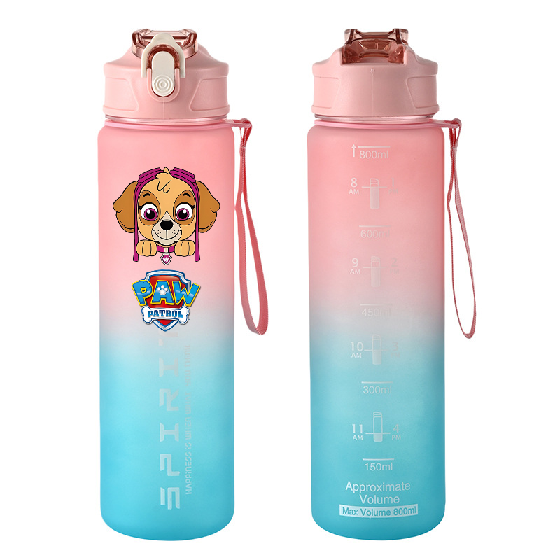 800ml PAW Patrol Sports Water  - Kids Outdoor Gym recensie en prijs