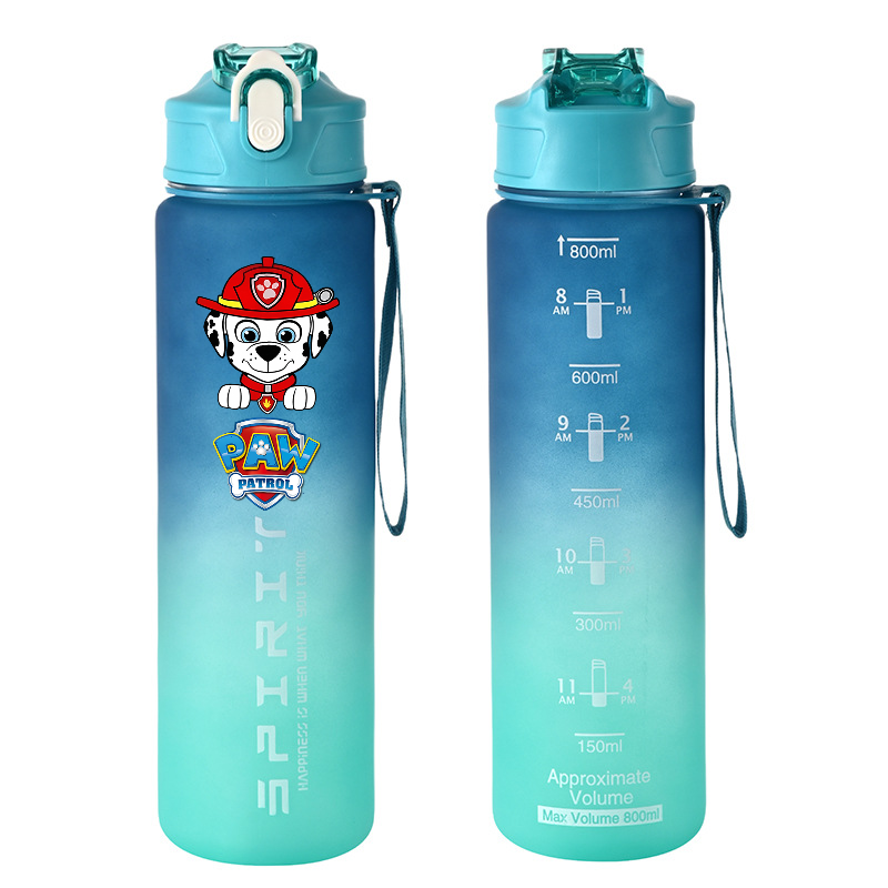 800ml PAW Patrol Sports Water  - Kids Outdoor Gym recensie en prijs
